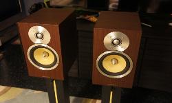 ���� ������������ ������